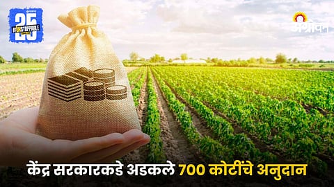 Agricultural Subsidy