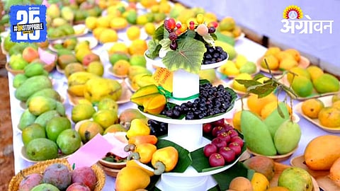 Fruit Festival 