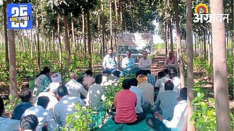 Crop Pest Management 