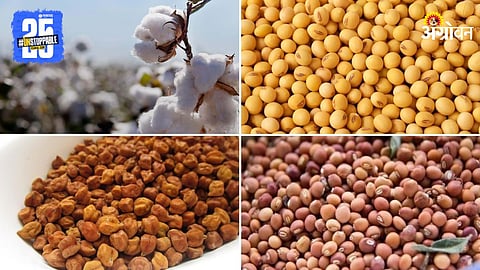 Agriculture Market