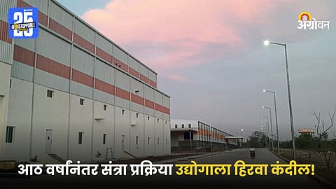 Orange Processing Industry