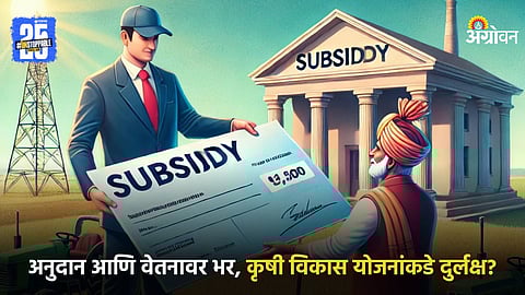 Agriculture Subsidy