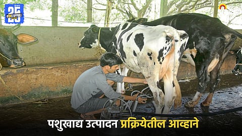Animal Husbandry
