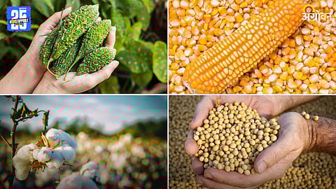Agriculture Market