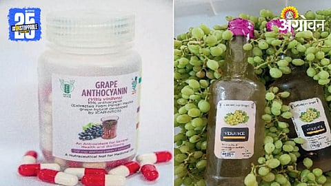 Grape Processing 