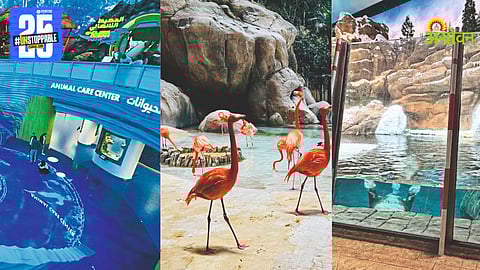 International Sea World Aquarium Abu Dhabi 