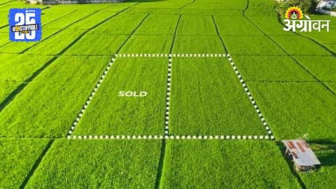 Land Survey 