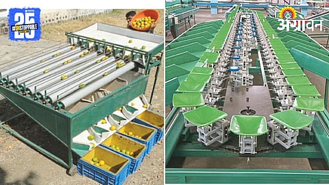 Agriculture Produce Grading 