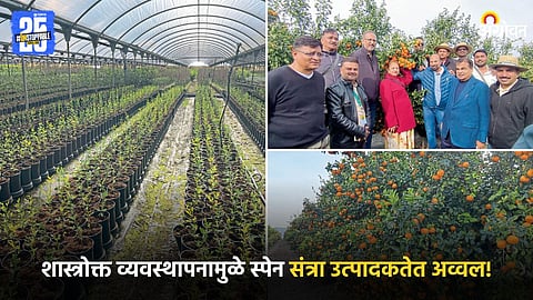 Orange Farming