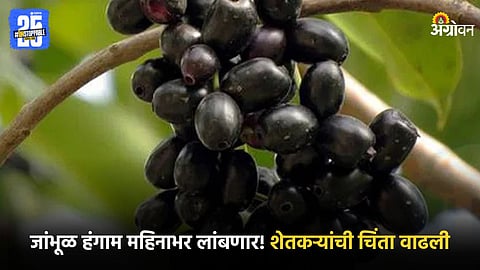 Jamun