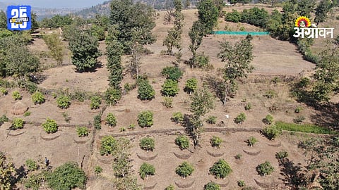 Fruit Crop Cultivation