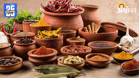 Spices 