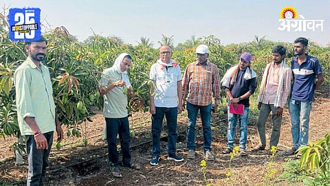 Heat Impact On Crops 