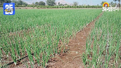 Soil Fertility 