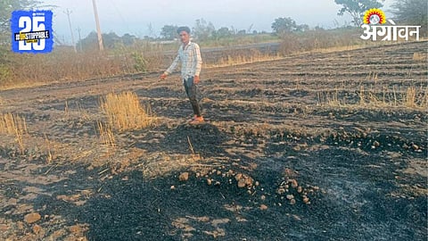 Wheat Stubble Management