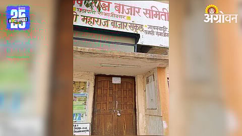 APMC Market 
