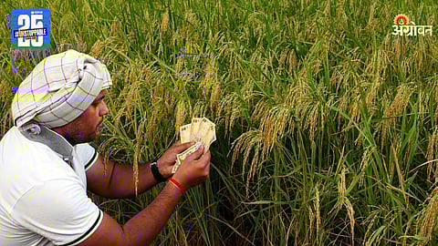Agriculture Funds