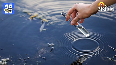 Water Quality 
