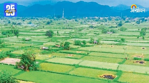 Agriculture Land