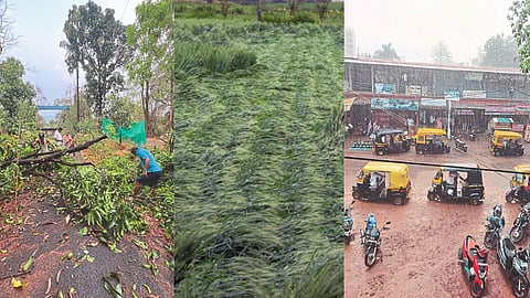 Maharashtra Rain