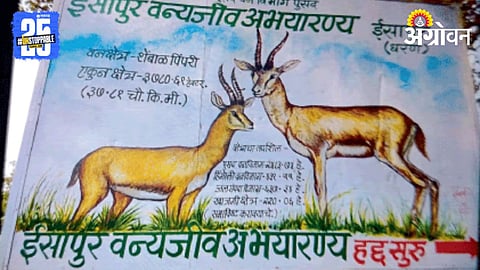 Isapur Wildlife Sanctuary 