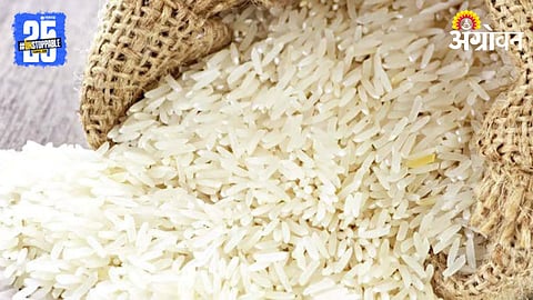 Rice Procurement 