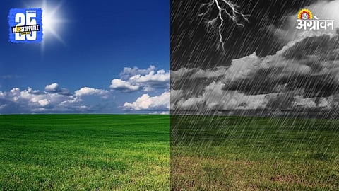 Weather Prediction