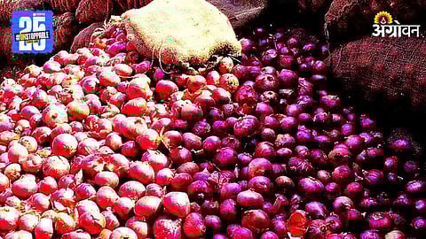 Onion