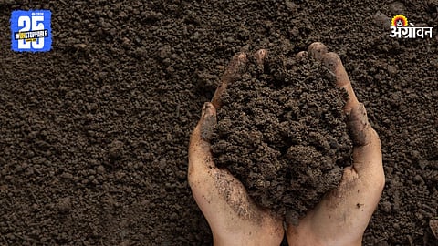 Soil Health
