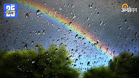 Rain
