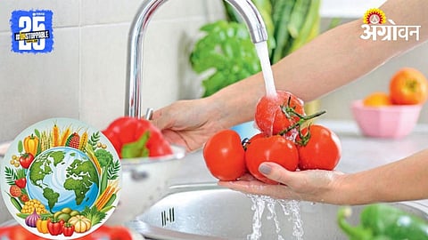 Organic Farming 
