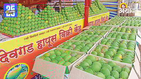 Mango Market