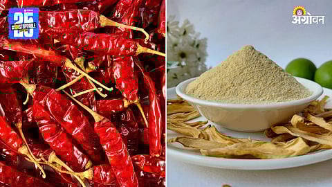 Chilli and Amchur