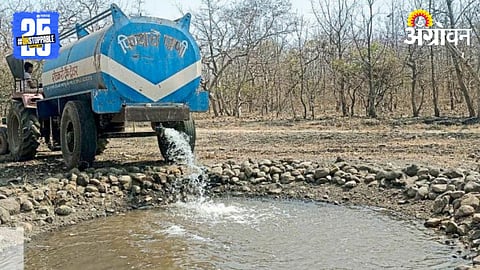 Wildlife Sanctuary Water Crisis 
