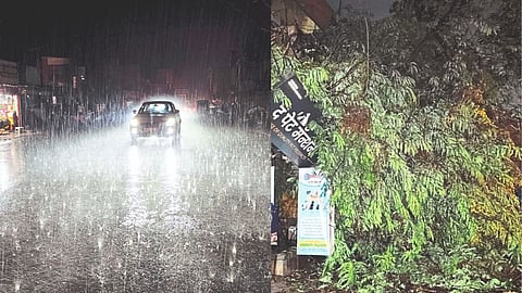 Kolhapur Sangli Rain