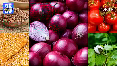 Agriculture Products