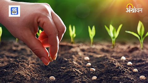 Truthful seed 