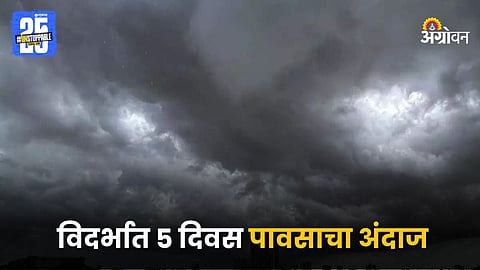 Rain Forecast