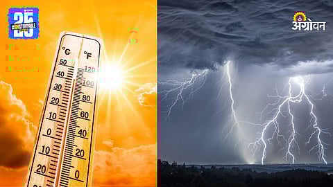 Rain Forecast