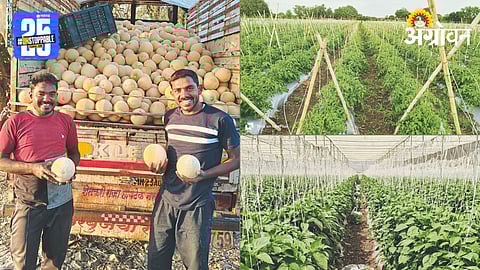 Agriculture Success Story