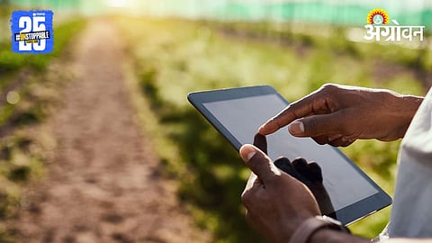 Crop Damage Survey