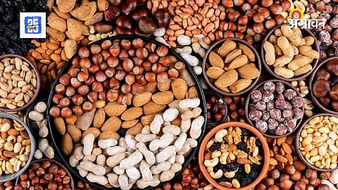 Dry Fruits Import