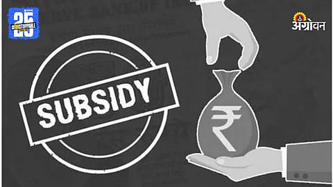 Subsidy