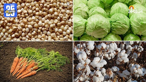 Agriculture Products