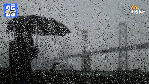 Rain Forecast