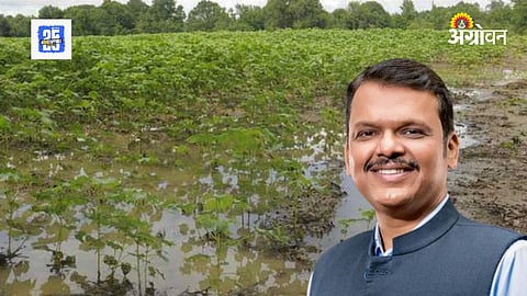 Farmer ID Registry