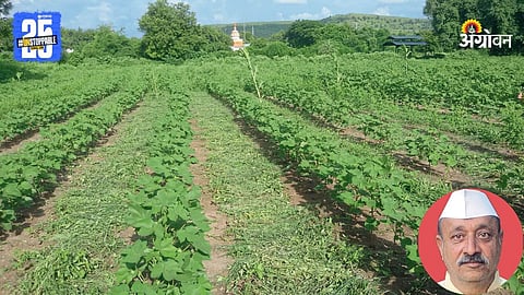 Zero Tillage Farming