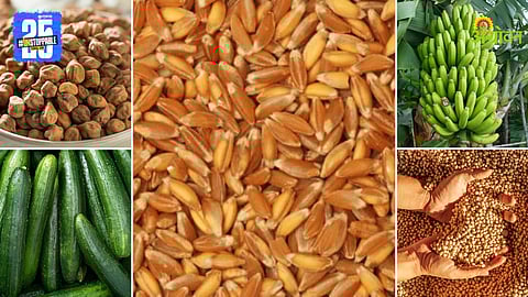 Agriculture Products