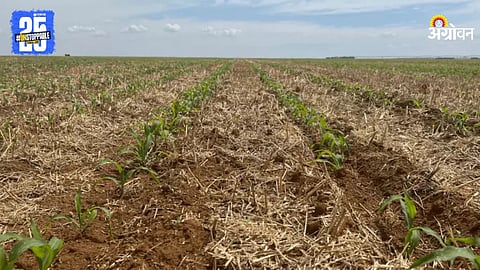 Zero Tillage