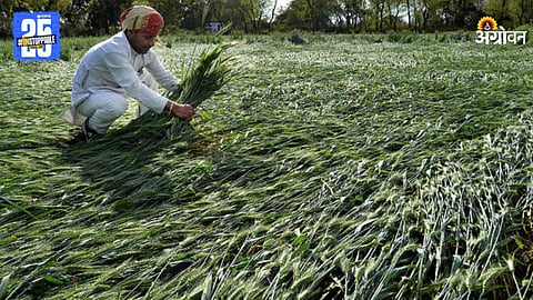 Crop Damage